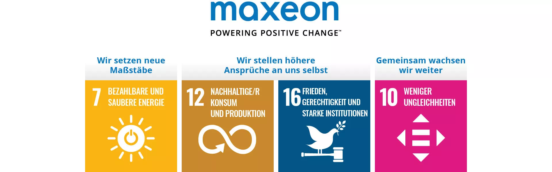 Maxeon SDG 4 goals DE