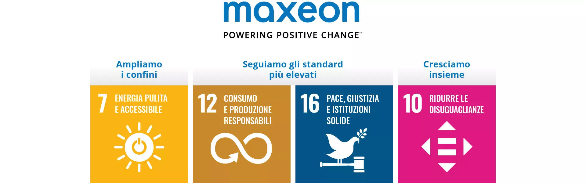 Maxeon SDG 4 goals IT
