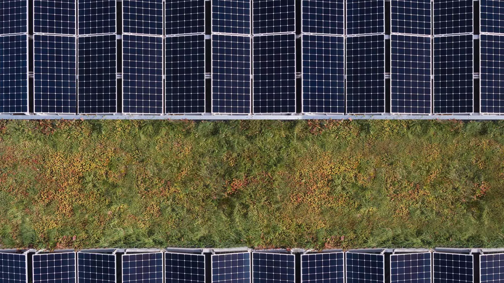 Discover Solar