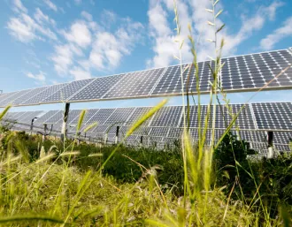 ground mount solar panels in green field