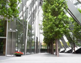 Trees inside of a building with glass ceilings