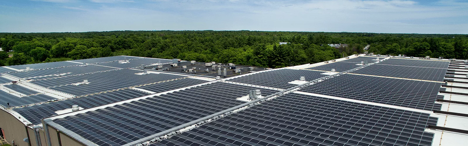 solar for your business