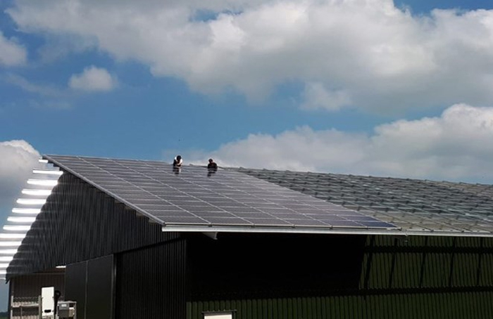 zonnepanelen op boerderij