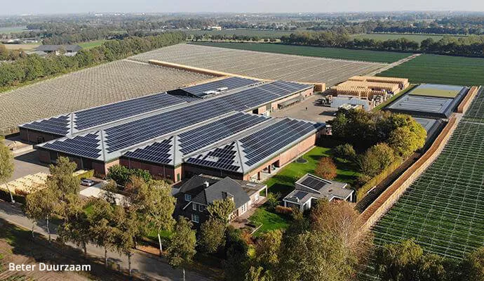 Commercial Solar Panels Winery Commercial Solar Panels Winery