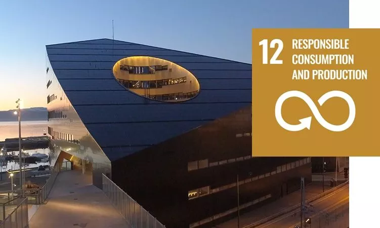 UN Sustainable Development Goals Responsible Consumption Production UN Sustainable Development Goals Responsible Consumption Production