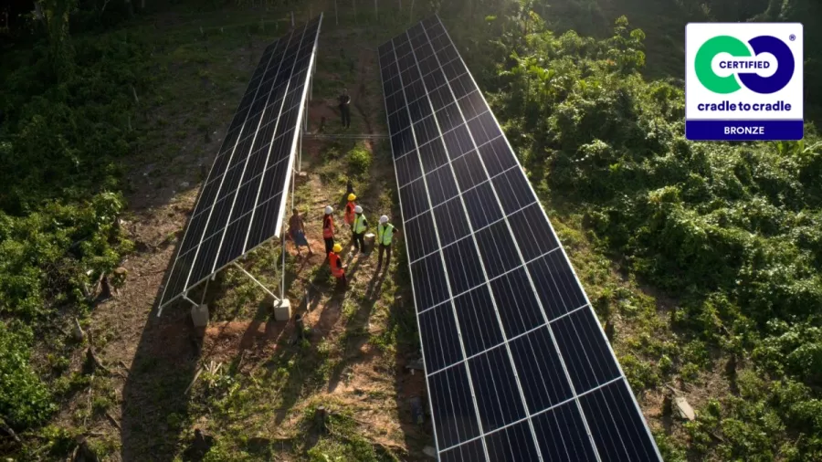 Performance Solar Panel for Businesses